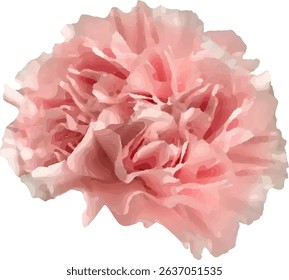 carnation pink and blooming  design11