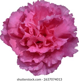 carnation pink and blooming  design25
