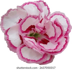 carnation pink and blooming  design7