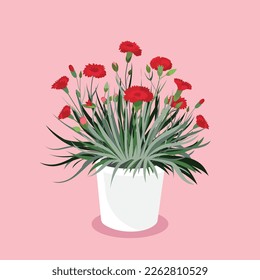 carnation in a pot vector clip art