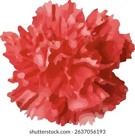 carnation red and blooming  design19