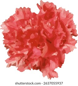 carnation red and blooming  design20