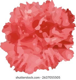 carnation red and blooming  design23