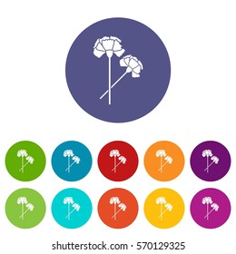 Carnation set icons in different colors isolated on white background