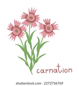 Ilustración vectorial de carnación panda rosa
