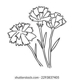 Flores de claveles. Ilustración vectorial de doodle dibujado a mano aislada.
Día de la Victoria El feriado ruso 9 puede signar flores.Plantilla vectorial para el afiche tipográfico, tarjeta de saludo, cartel, página de color