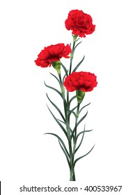 180,159 Carnations Images, Stock Photos & Vectors | Shutterstock