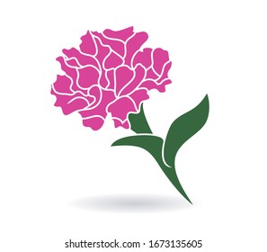 carnaciones flores rosas hojas vectoriales