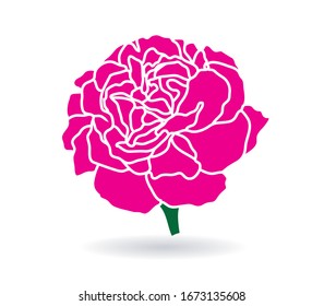 carnations pink flowers vector leaves