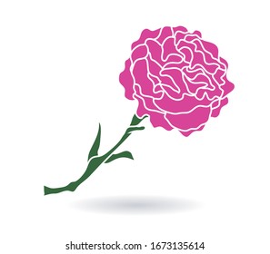 carnaciones flores rosas hojas vectoriales