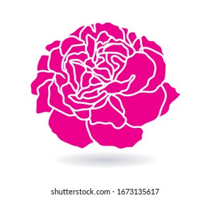 carnations pink flowers vector leaves