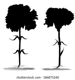Carnations silhouettes with shadows isolated on white
