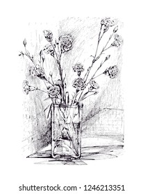 Carnations. Vector illustration.