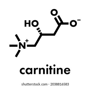 Carnitine food supplement molecule. Skeletal formula.