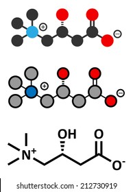 Carnitine molecule, chemical structure. Often found in nutritional supplements. Natural food sources include red meat and dairy products. Stylized 2D renderings and conventional skeletal formula.