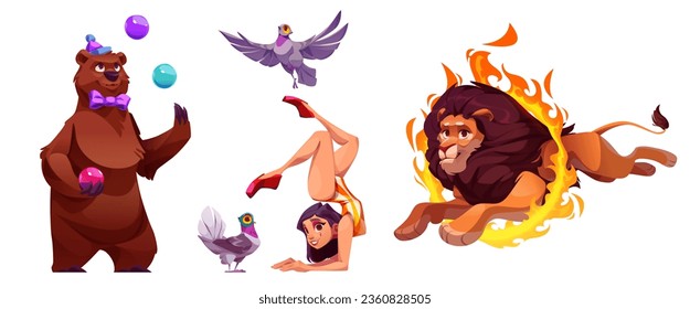 Carnival acrobat, lion, bear circus vector illustration. Cute animal show entertainment with girl character isolated icon set. Festival amusement performance with artist and exotic safari performer