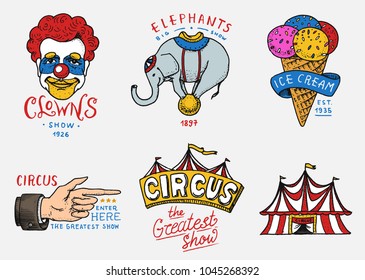 Carnival Circus badge. Banner or poster with animals. clown and elephant, ice cream and focus, magic in the tent. festival with actors. engraved emblem hand drawn. entertainment, theater and marquee.