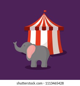 Carnival circus design