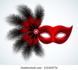 Carnival feathers mask  isolated on white