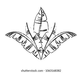 carnival feathers ornament decorative