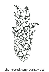carnival feathers ornament decorative