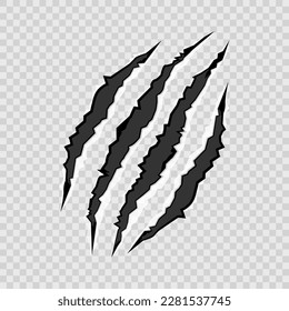 Carnivore animal scratches vector illustration isolated on transparent background