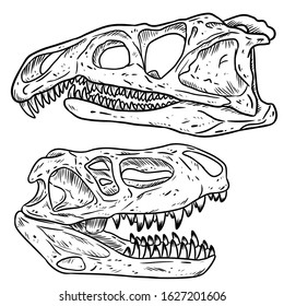 Carnivore dinosars skulls line hand drawn sketch image set. Archosaurus rossicus and Prestosuchus chiniquensi carnivorous dinosaur fossils illustration illustration