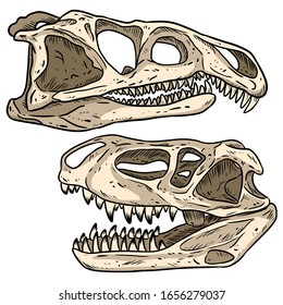 Carnivore dinosars skulls line hand drawn sketch image set. Archosaurus rossicus and Prestosuchus chiniquensi carnivorous dinosaur fossils illustration illustration