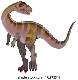 Carnivorous dinosaur Allosaurus. Isolated on white vector illustration