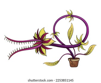 Carnivorous plant. Cartoon flytrap in pot. Flower predator. Angry flower with teeth. Monster plant icon. Vector illustration