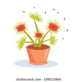 Carnivorous plant. Insects. Sundew Vector. Cartoon. Isolated art on white background. Flat
