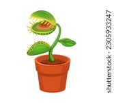 Carnivorous Plant on Pot Cartoon illutration vector