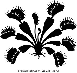 Carnivorous plant, venus flytrap, insectivore, danger, nature.