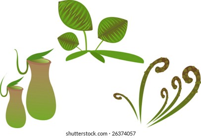 carnivorous plants