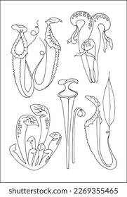 Fressfresser Pflanzen, Neffenthe, Sarkazenie und Darlingtonie. Satz von vektor botanischen dekorativen Elementen in Schwarz-Weiß, Konturen und verschiedene Formen von tropischen Blättern, Silhouetten von Blättern.