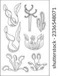 Carnivorous plants. Set of vector botanical decorative elements in black and white, contours and different forms of tropical leaves, silhouettes of leaves.