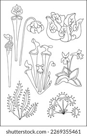 Fleischfresser. Satz von vektor botanischen dekorativen Elementen in Schwarz-Weiß, Konturen und verschiedene Formen von tropischen Blättern, Silhouetten von Blättern.