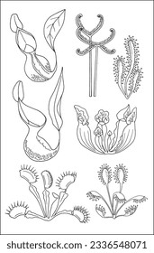 Carnivorous plants. Set of vector botanical decorative elements in black and white, contours and different forms of tropical leaves, silhouettes of leaves.