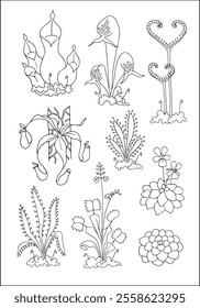 Carnivorous plants. Set of vector botanical decorative elements in black and white, contours and different forms of tropical leaves, silhouettes of leaves.	