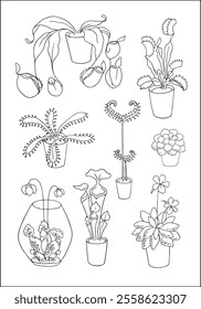 Carnivorous plants. Set of vector botanical decorative elements in black and white, contours and different forms of tropical leaves, silhouettes of leaves.	