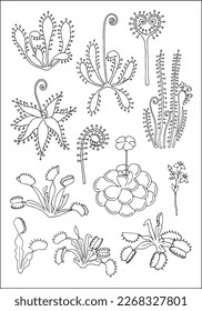 Carnivorous plants. Venus flytrap, pinguicula and sundews. Set of vector botanical decorative elements in black and white, contours and different forms of tropical leaves, silhouettes of leaves.