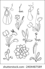 Carnivorous plants. Venus flytrap, pinguicula and sundews. Set of vector botanical decorative elements in black and white, contours and different forms of tropical leaves, silhouettes of leaves.	