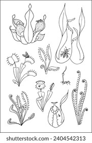 Carnivorous plants. Venus flytrap, pinguicula and sundews. Set of vector botanical decorative elements in black and white, contours and different forms of tropical leaves, silhouettes of leaves.	