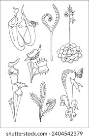 Fleischfresser. Venusfliege, Pinguicula und Sonnenaufgänge. Satz von vektor botanischen dekorativen Elementen in Schwarz-Weiß, Konturen und verschiedene Formen von tropischen Blättern, Silhouetten von Blättern.	