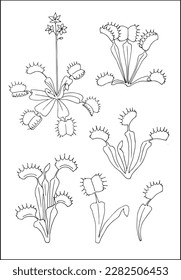 Carnivorous plants. Venus flytrap. Set of vector botanical decorative elements in black and white, contours and different forms of Venus flytrap, silhouettes of leaves.