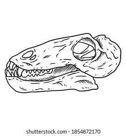 Carnivorous small Dinocephalia dinosaur fossilized skull hand drawn sketch image. Carnivore reptile dino fossil illustration drawing. Vector stock silhouette