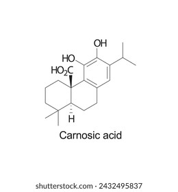 Carnosic acid skeletal structure diagram.Sesquiterpene compound molecule scientific illustration on white background.