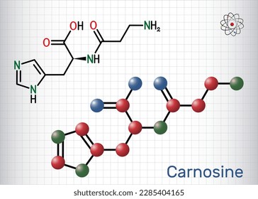 Carnosine dipeptide molecule. It is anticonvulsant, antioxidant, antineoplastic agent, human metabolite. Structural chemical formula, molecule model. Sheet of paper in a cage. Vector illustration