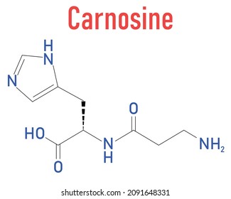 Carnosine or L-carnosine food supplement molecule. Skeletal formula.