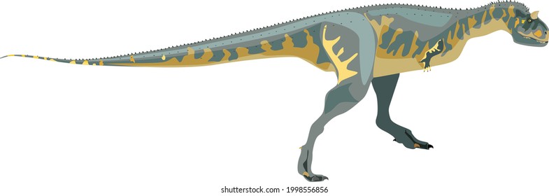 Carnotaurus is a predatory dinosaur. Color vector illustration